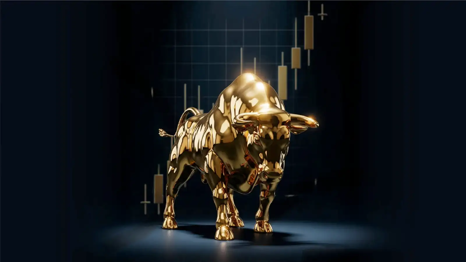 Investment & Asset Management